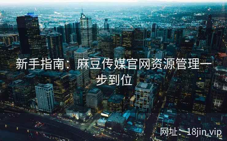 新手指南：麻豆传媒官网资源管理一步到位