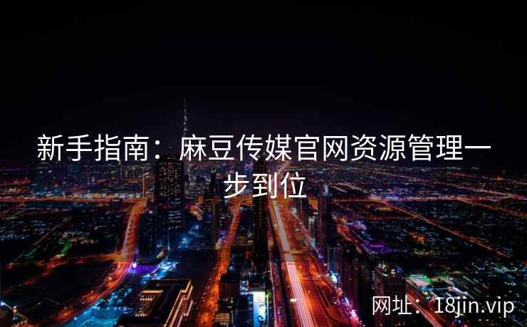 新手指南：麻豆传媒官网资源管理一步到位