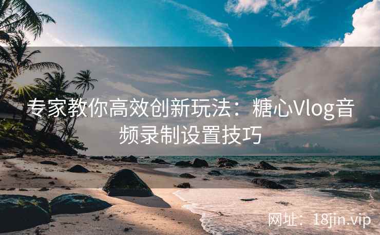 专家教你高效创新玩法：糖心Vlog音频录制设置技巧