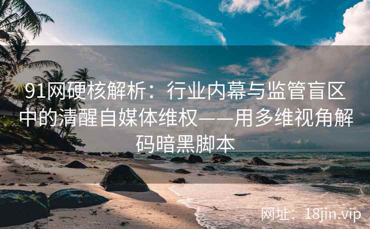 91网硬核解析：行业内幕与监管盲区中的清醒自媒体维权——用多维视角解码暗黑脚本  第2张