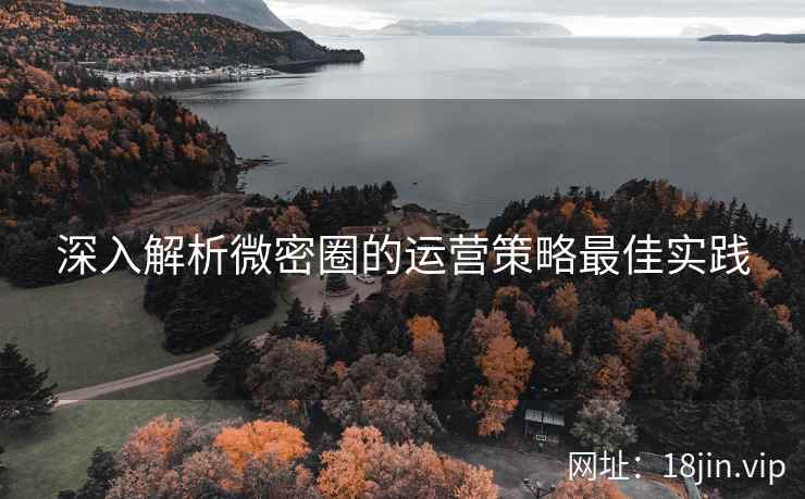 深入解析微密圈的运营策略最佳实践