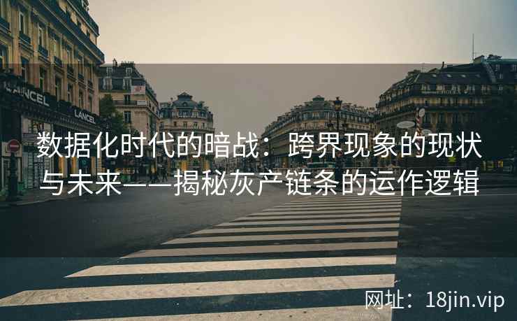 数据化时代的暗战：跨界现象的现状与未来——揭秘灰产链条的运作逻辑