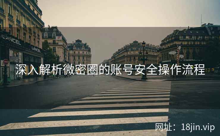 深入解析微密圈的账号安全操作流程