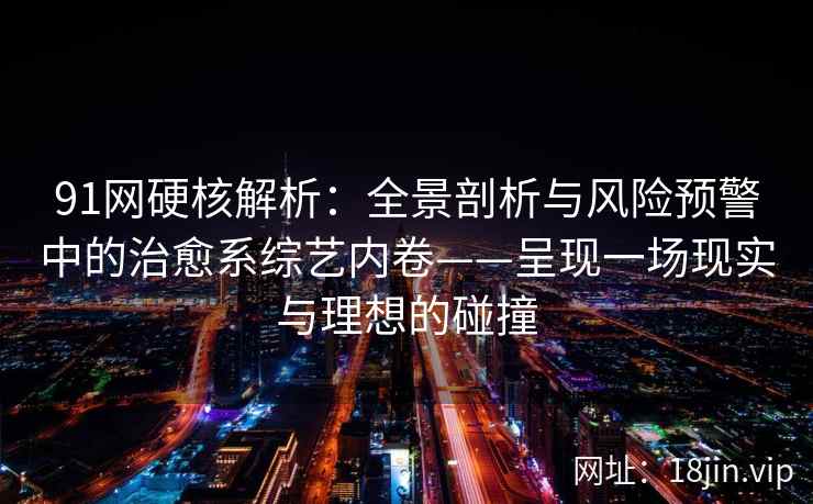 91网硬核解析：全景剖析与风险预警中的治愈系综艺内卷——呈现一场现实与理想的碰撞
