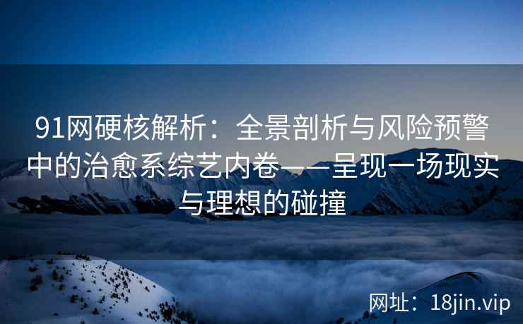 91网硬核解析：全景剖析与风险预警中的治愈系综艺内卷——呈现一场现实与理想的碰撞  第2张