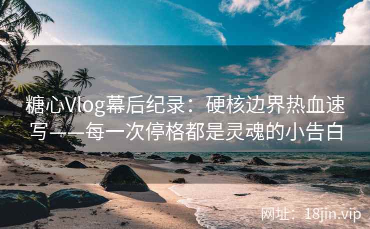 糖心Vlog幕后纪录：硬核边界热血速写——每一次停格都是灵魂的小告白  第2张