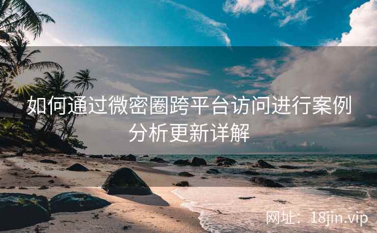 如何通过微密圈跨平台访问进行案例分析更新详解  第2张