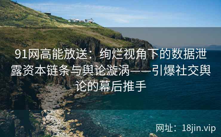 91网高能放送：绚烂视角下的数据泄露资本链条与舆论漩涡——引爆社交舆论的幕后推手