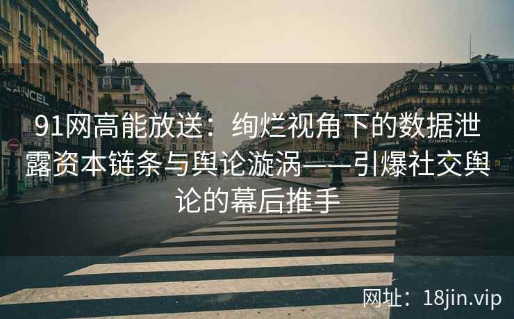 91网高能放送：绚烂视角下的数据泄露资本链条与舆论漩涡——引爆社交舆论的幕后推手