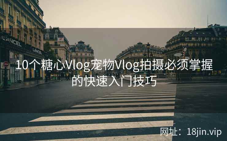 10个糖心Vlog宠物Vlog拍摄必须掌握的快速入门技巧