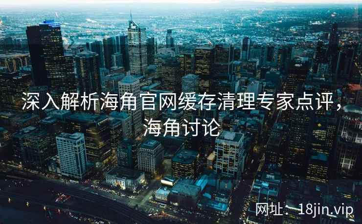 深入解析海角官网缓存清理专家点评，海角讨论  第1张
