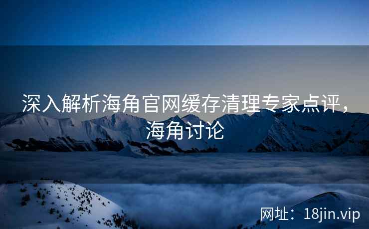 深入解析海角官网缓存清理专家点评，海角讨论  第2张