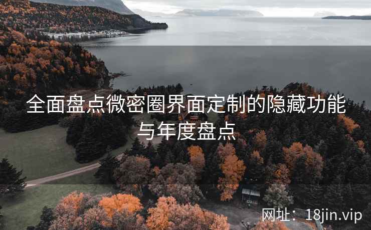 全面盘点微密圈界面定制的隐藏功能与年度盘点  第1张