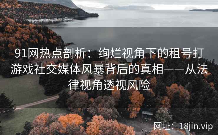 91网热点剖析：绚烂视角下的租号打游戏社交媒体风暴背后的真相——从法律视角透视风险  第2张